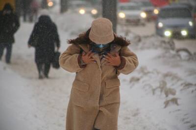 В Новосибирске ожидается потепление до +1 и мокрый снег к концу недели