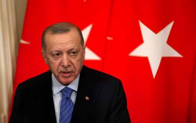 Эрдоган определился с санкциями против России за признание «Л/ДНР»