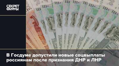 В Госдуме допустили новые соцвыплаты россиянам после признания ДНР и ЛНР