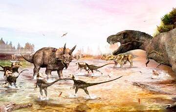Палеонтологи впервые обнаружили останки гигантского «безрукого» динозавра