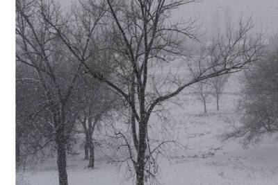 Жителей Мурманской области ожидает ухудшение погоды 24 и 25 февраля - в регион придет метель