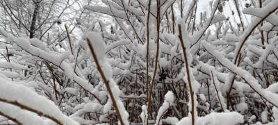 Снег и гололедица ожидаются в четверг в Карелии