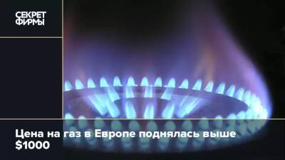 Цена на газ в Европе поднялась выше $1000