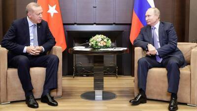 В Кремле раскрыли детали переговоров Путина и Эрдогана