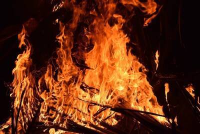 Житель Симферополя отправится в колонию за поджог дома бывшей сожительницы - crimea.mk.ru - Киев - Симферополь