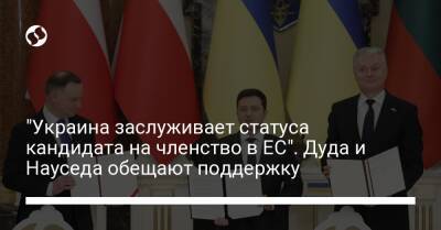 "Украина заслуживает статуса кандидата на членство в ЕС". Дуда и Науседа обещают поддержку