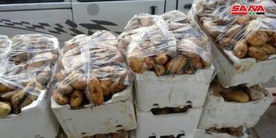 Сирия импортирует 20 000 тонн картофеля из Египта