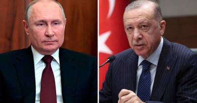 Путин и Эрдоган обсудили по телефону признание независимости ДНР и ЛНР