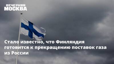 Стало известно, что Финляндия готовится к прекращению поставок газа из России