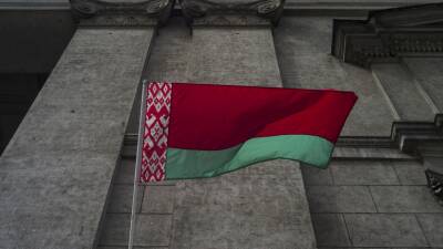 Явка на референдуме в Белоруссии за два дня досрочного голосования составила 14,53%