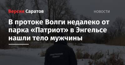 В протоке Волги недалеко от парка «Патриот» в Энгельсе нашли тело мужчины - nversia.ru - район Энгельсский