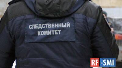 СК России возбудил уголовное дело по факту гибели мирных жителей в ЛНР