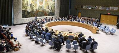 Украина запросила срочное заседание Совбеза ООН из-за обращения ДНР и ЛНР о военной помощи