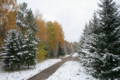 Пасмурная погода со снегом ожидается 24 февраля в Томске