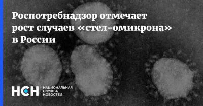 Камиль Хафизов - Роспотребнадзор отмечает рост случаев «стел-омикрона» в России - nsn.fm - Россия
