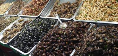 10 блюд из насекомых, которые считаются деликатесом в разных странах