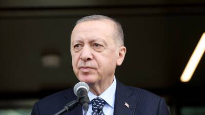 Эрдоган призвал использовать международную дипломатию для решения ситуации на Украине
