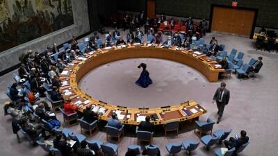 США предупреждали СБ ООН о «неизбежности» полномасштабного вторжения в Украину