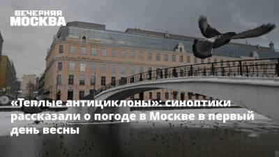 «Теплые антициклоны»: синоптики рассказали о погоде в Москве в первый день весны