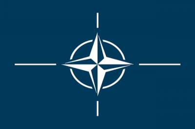 НАТО созывает экстренное заседание из-за ситуации на Украине
