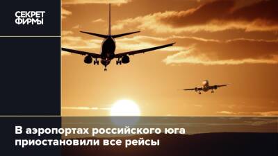 В аэропортах российского юга приостановили все рейсы