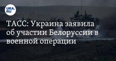 ТАСС: Украина заявила об участии Белоруссии в военной операции