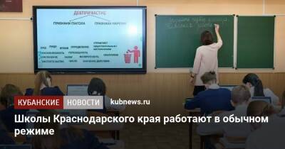 Школы Краснодарского края работают в обычном режиме