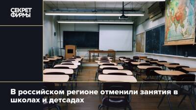 В российском регионе отменили занятия в школах и детсадах