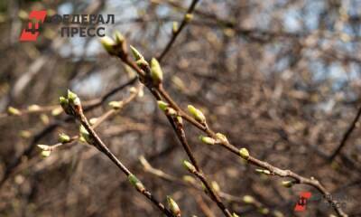 Весна придет раньше времени в Приморье