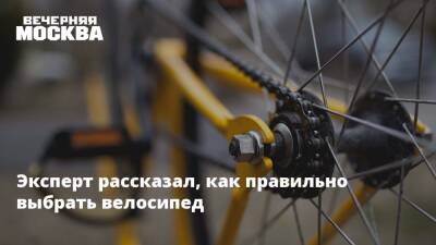 Эксперт рассказал, как правильно выбрать велосипед - vm.ru