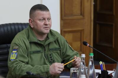 Украинский главнокомандующий заявил, что Россия несет потери в военном конфликте