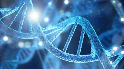 Генетики выделили самую древнюю человеческую ДНК в Африке