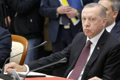 Эрдоган созвал заседание Совбеза из-за ситуации на Украине
