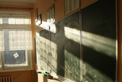 В приграничных районах Воронежской области приостановили занятия в школах