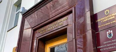 Депутаты парламента Карелии выступили против поправок к Налоговому кодексу, ущемляющих права бизнеса