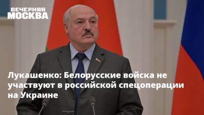 Лукашенко: Белорусские войска не участвуют в российской спецоперации на Украине