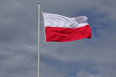 Польша попросила созвать совет НАТО из-за ситуации на Украине