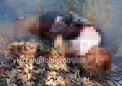 В Астраханской области на берегу Волги нашли тело 14-летней девочки