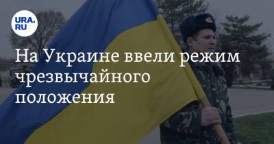 На Украине ввели режим чрезвычайного положения
