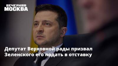Депутат Верховной рады призвал Зеленского его подать в отставку