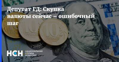 Депутат ГД: Скупка валюты сейчас – ошибочный шаг