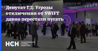 Депутат ГД: Угрозы отключения от SWIFT давно перестали пугать