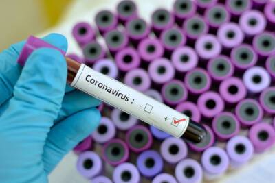 Почти 9 тысяч петербуржцев подхватили коронавирус за сутки