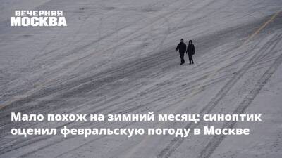 Мало похож на зимний месяц: синоптик оценил февральскую погоду в Москве