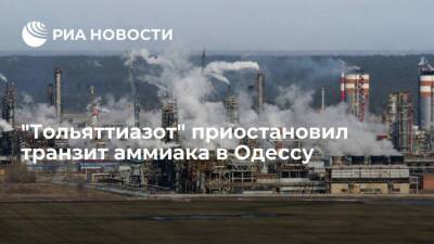 "Тольяттиазот" решил приостановить транзит аммиака по трубопроводу в Одессу