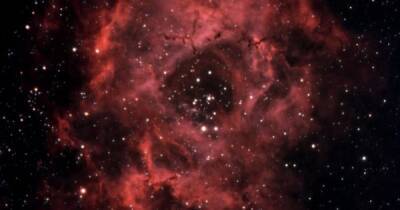 Астроном-любитель сделал невероятно красивое изображение туманности Розетка