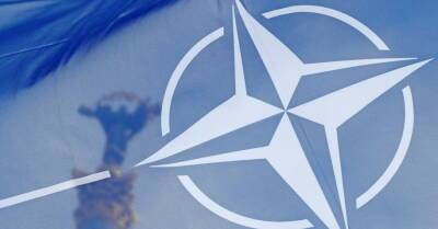 Реакция НАТО: 25 февраля проведут экстренный саммит по ситуации в Украине, но свои войска вводить не будут