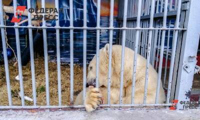 Пермский зоопарк объявил о своем закрытии