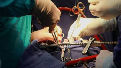 В Испании нашли самые ранние свидетельства проведения хирургических операций на ухе