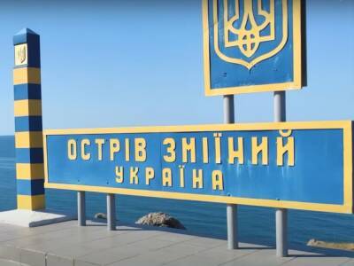 Остров Змеиный атаковали с российских военных кораблей – МВД